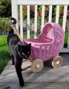 51704-wozek_dla_lalek_wiklinowy_pink_4.jpg